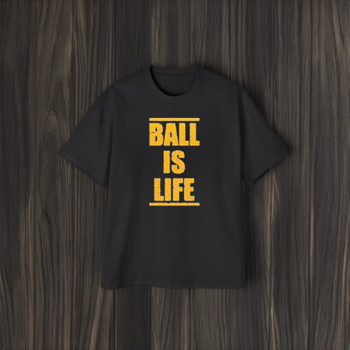 Dan Quinn Washington Commanders Nfl Ball Is Life T-Shirt1