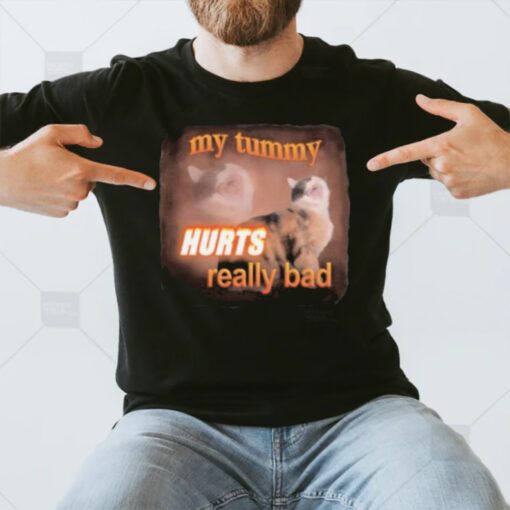 My Tummy Hurts Really Bad Cat T-Shirt